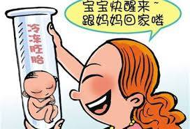 胚胎培養